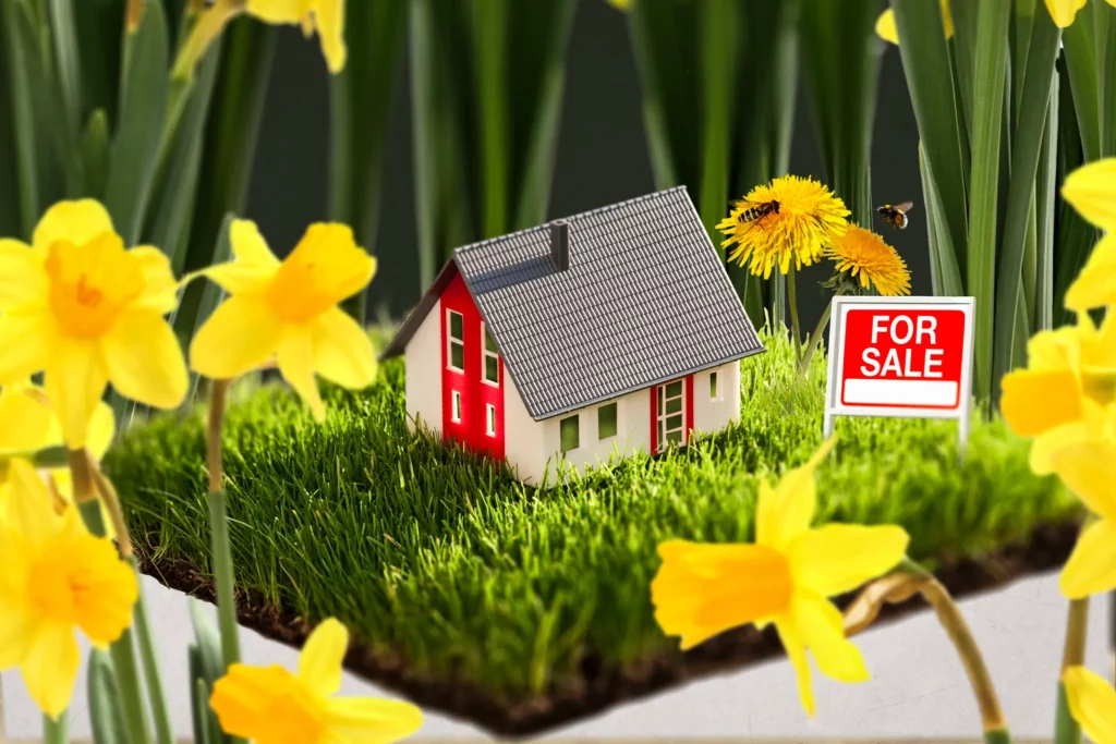 Spring Home Joy: Tips and Ideas!